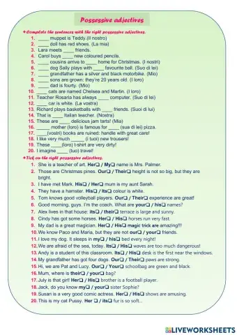 Possessive adjectives