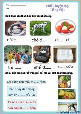 Tiếng Việt 1 CTST - Chủ đề 13 Thăm quê