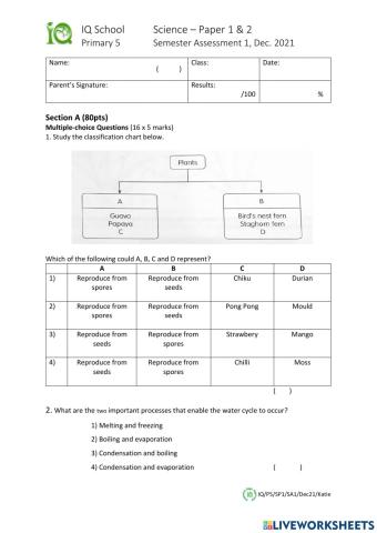 5E2 SCIENCE SA1 2021