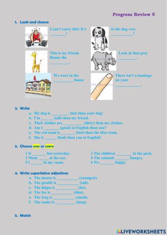 Progress Review 5 FH3