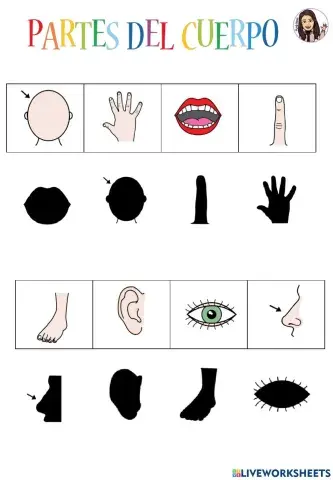 Partes cuerpo asociar sombras