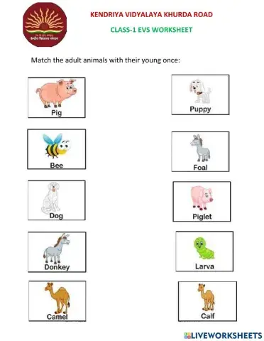 Animals and their young ones