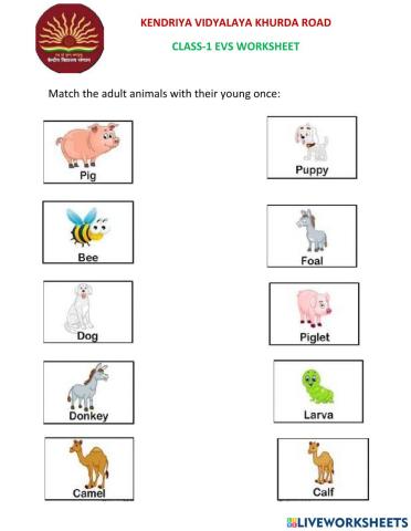 Animals and their young ones