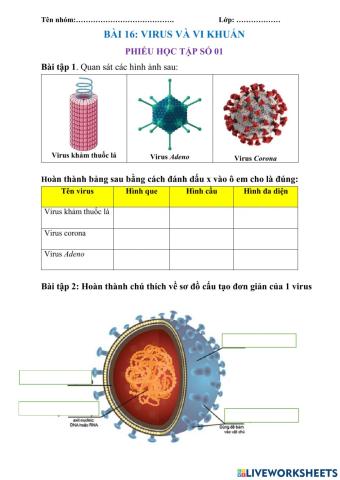 Hình dạng và cấu tạo virus