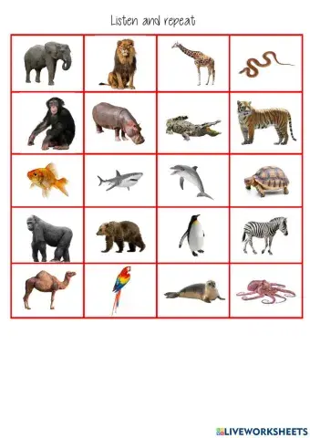 listen and choose wild animals