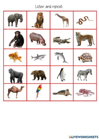 listen and choose wild animals