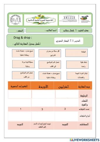 الجهاز الدوري