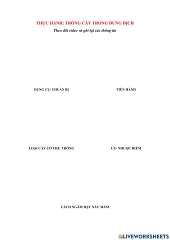 Trồng cây trong dung dịch