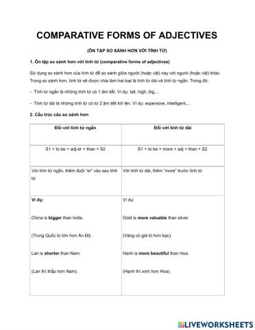 E8 End of term review 2
