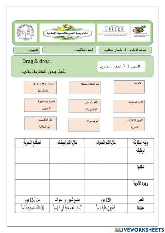 الجهاز الدوري
