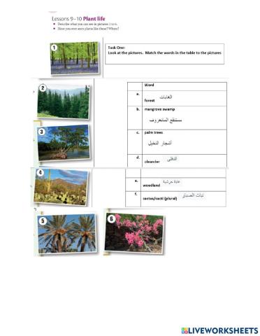 Plants vocab part one