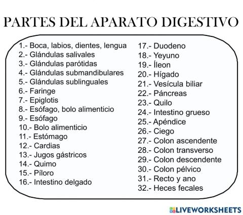 Partes del aparato digestivo i