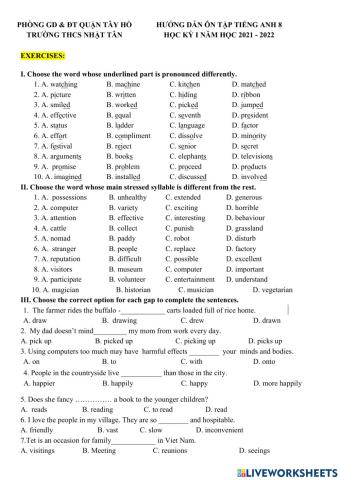 Grade 8- Đề cương Nhật Tân