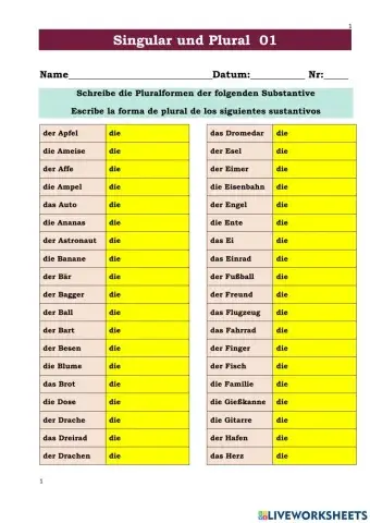 Singular und Plural 01