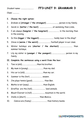 FF3 - Unit 9 - Grammar