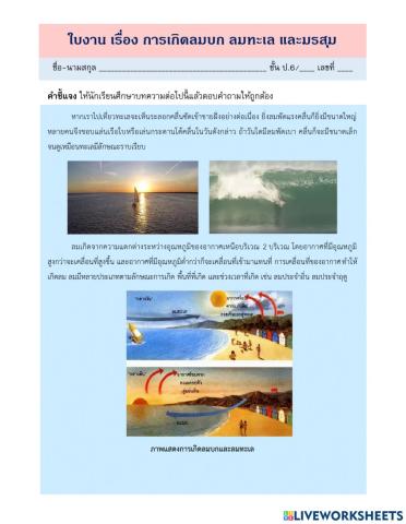 ลมบก ลมทะเลและมรสุม