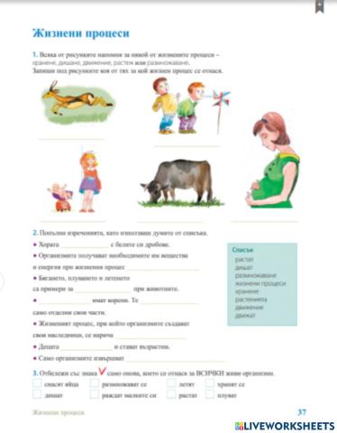 Учебна тетрадка