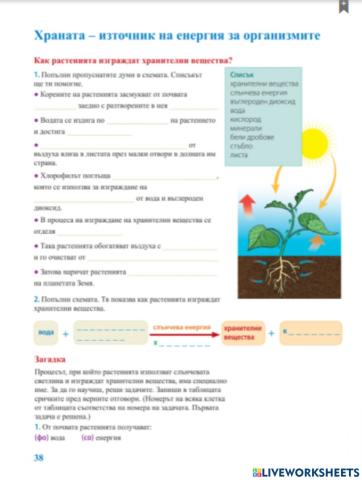 Учебна тетрадка