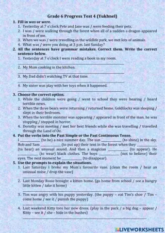 Grade 6 Progress Tes 4