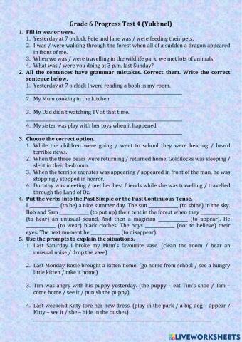 Grade 6 Progress Tes 4