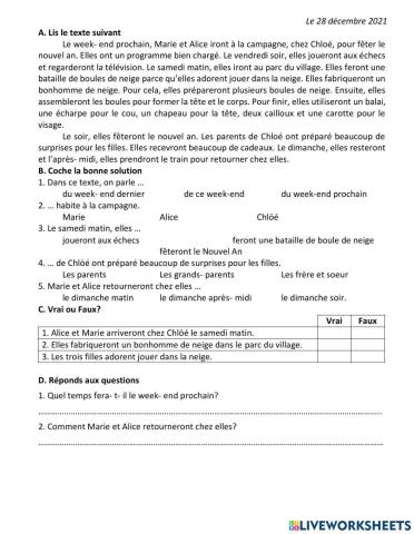 CE-projet de vacances-28.12