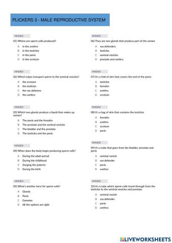 Plickers Male Reproductive System