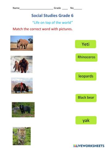 Match right answers to pictures