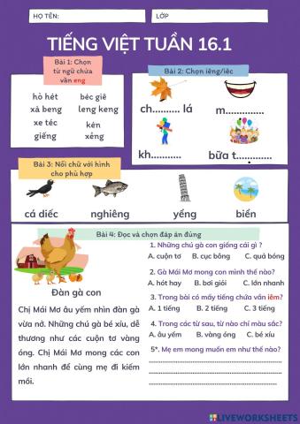 Phiếu bài tập tuần 16