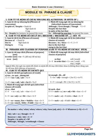 Chuyên Đề Module 19