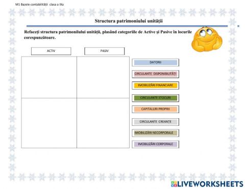 Structura patrimoniului