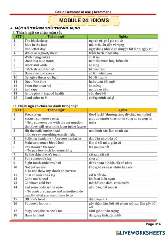 Chuyên Đề Module 24