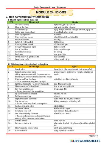 Chuyên Đề Module 24