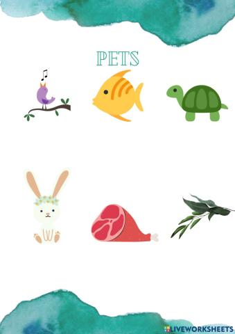 Pets