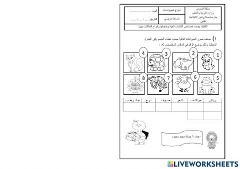 انواع الحيوانات
