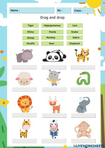 P2 Animals At The Zoo