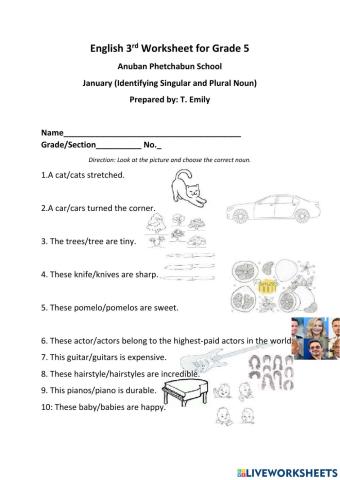 Identifying Singular and Plural Nouns