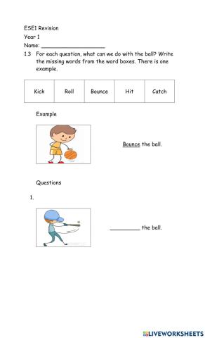 Year1ESENTSIS -Ball-