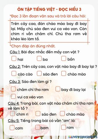 Ôn tập TV - Đọc hiểu 3