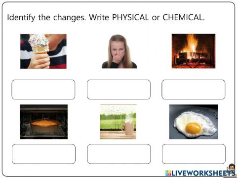 Matter Worksheets 11-14