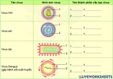 KHTN 6 -Bài 29.Virus