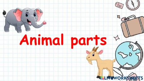 1A1 Animal part
