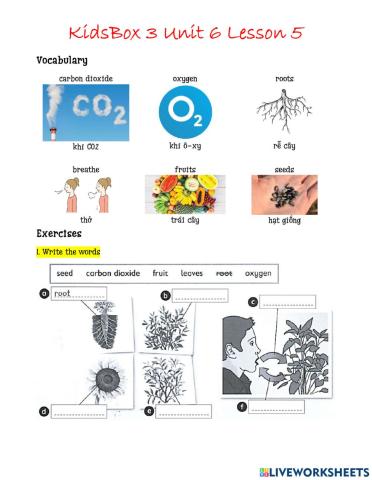 KidsBox3 Unit 6 Project