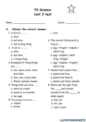 P3 unit 3 test Science