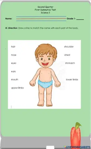1st Summative Test-Q2 in Science Part 2