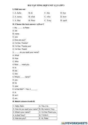 Bài tập tổng hợp unit 1, 2, 3 lớp 3