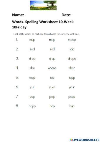 Words Spelling Worksheet 10 Week 10
