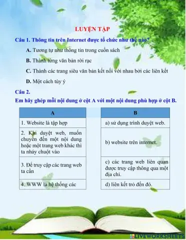 Luyện tập - Mạng thông tin toàn cầu