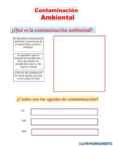 Contaminacion ambiental