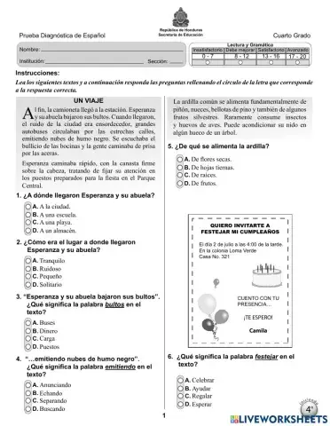 Prueba diagnostica