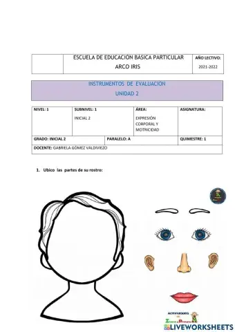 Expresion corporal y motricidad